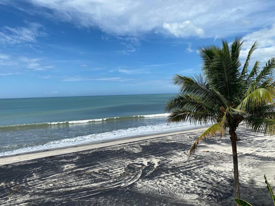 Coronado Beachfront Tropical Home! 普拉亚科罗纳多 外观 照片