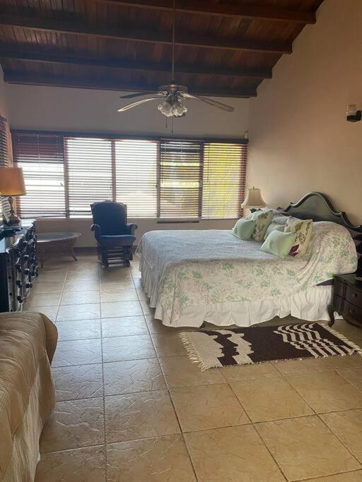 Coronado Beachfront Tropical Home! 普拉亚科罗纳多 外观 照片
